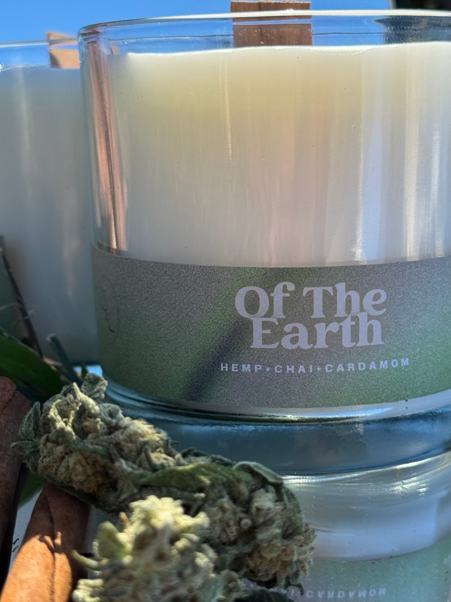 Of The Earth
